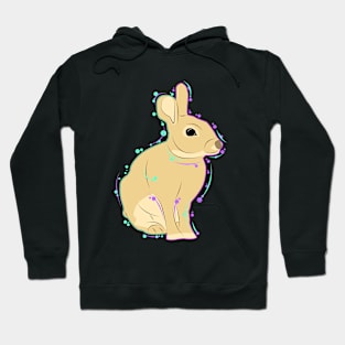 bubbly rabbit Hoodie